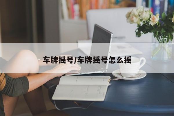 车牌摇号/车牌摇号怎么摇